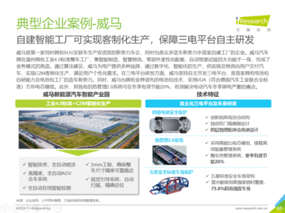 2025年新能源市場(chǎng)展望 威馬等企業(yè)潛力無(wú)限，技術(shù)咨詢服務(wù)助力行業(yè)騰飛